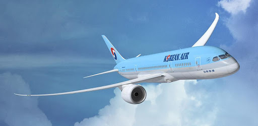 Korean Air PC screenshot