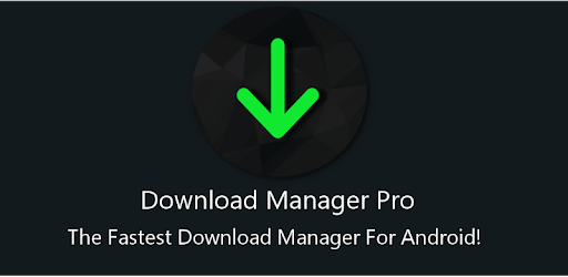Download Manager Pro FREE PC screenshot