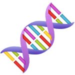 Zimsec Biology Revision icon