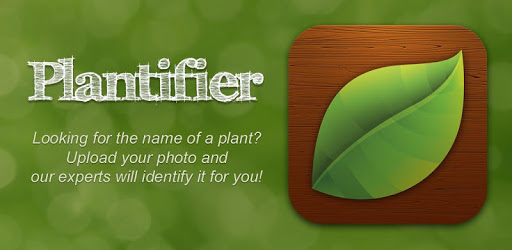 Plantifier PC screenshot Plantifier PC screenshot
