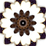 Intuitive Mandala Oracle Cards icon