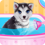 Husky Puppy Spa Salon for PC