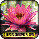 Hidden Object - State of Zen for PC