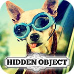 Hidden Object - Travelling Pets for PC