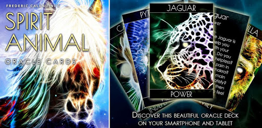 Spirit Animal Oracle Cards PC screenshot Spirit Animal Oracle Cards PC screenshot