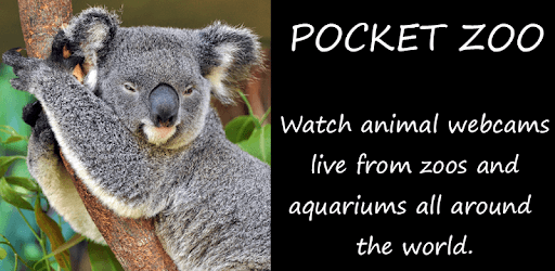 Pocket Zoo PC screenshot