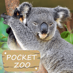 Pocket Zoo for PC