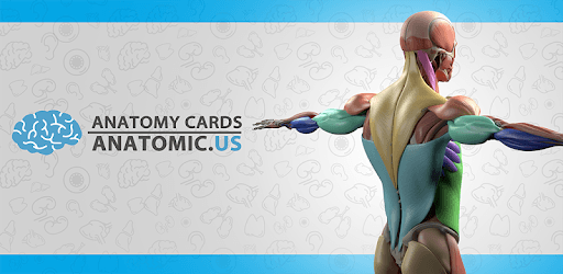 Anatomy Cards Anatomicus PC screenshot