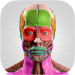 Anatomy Cards Anatomicus icon
