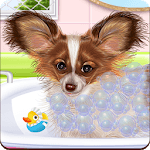 Papillon Puppy Care for PC Papillon Puppy Care for PC