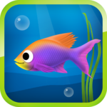 Best Hungry Fish icon