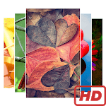 4K HD Wallpapers & Backgrounds for PC 4K HD Wallpapers & Backgrounds for PC