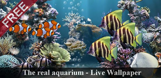 The real aquarium - LWP PC screenshot