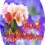 Good Afternoon messages and phrases friends for PC Good Afternoon messages and phrases friends for PC