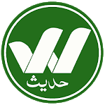 Wisdom Hadees Player icon