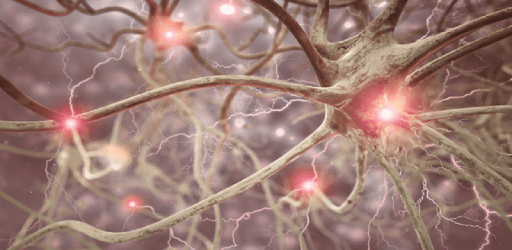 NIHSS - NIH Stroke Scale PC screenshot