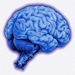 NIHSS - NIH Stroke Scale icon