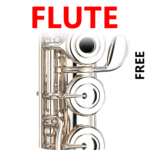 Flute Fingerings Free for PC