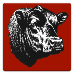 Angus Mobile icon