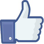 Like Survey icon