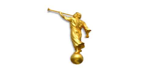 LDS Ordinances & Tools PC screenshot