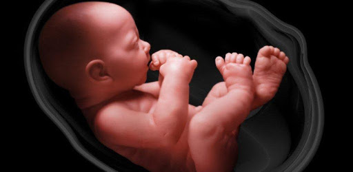 Baby Measures PC screenshot