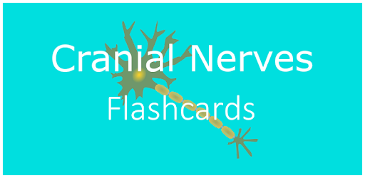 Cranial Nerves Flashcards PC screenshot Cranial Nerves Flashcards PC screenshot