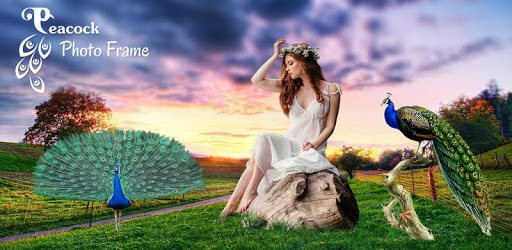 Peacock Photo Editor: Peacock Photo Frame PC screenshot Peacock Photo Editor: Peacock Photo Frame PC screenshot