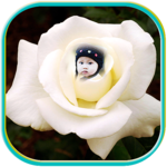 Photo Editor - Rose Photo for PC Photo Editor - Rose Photo for PC