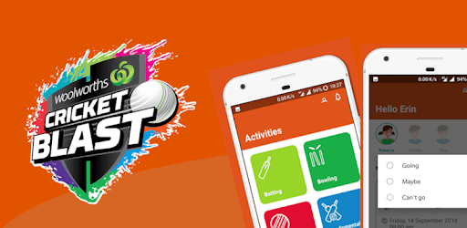 Cricket Blast PC screenshot