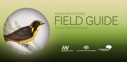 Field Guide to Victorian Fauna PC screenshot Field Guide to Victorian Fauna PC screenshot