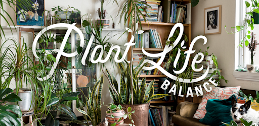 Plant Life Balance PC screenshot