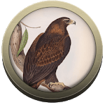 Field Guide Northern Territory icon