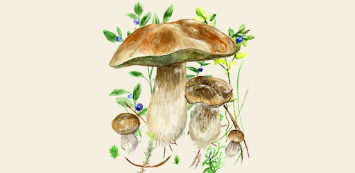 Mushrooms app PC screenshot Mushrooms app PC screenshot