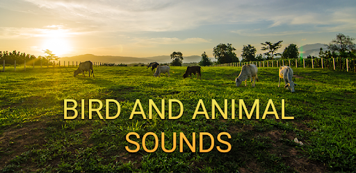 Bird and Animal soundboard PC screenshot