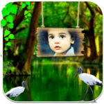 My photo live wallpaper for PC My photo live wallpaper for PC
