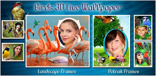Birds 3D Live Wallpaper PC screenshot Birds 3D Live Wallpaper PC screenshot