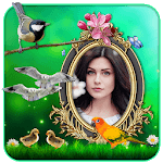 Birds 3D Live Wallpaper for PC Birds 3D Live Wallpaper for PC