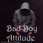 Bad Boy Attitude Status for PC Bad Boy Attitude Status for PC