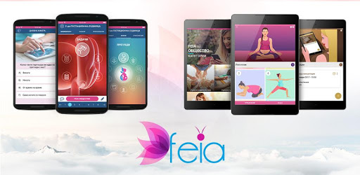 FEIA Pregnancy PC screenshot