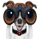 Binoculars Spy Camera HD for PC Binoculars Spy Camera HD for PC