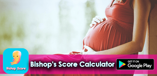 Bishop's Score Calculator PC screenshot