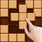 Wood Block Sudoku Game -Classic Free Brain Puzzle icon