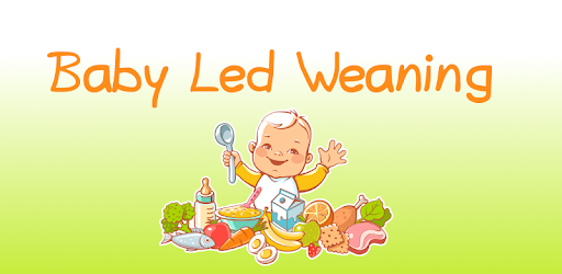 Baby Led Weaning - Guide & Recipes PC screenshot Baby Led Weaning - Guide & Recipes PC screenshot