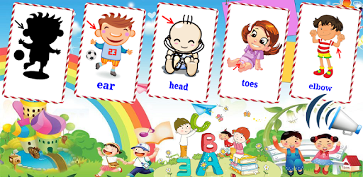 Body Parts Flashcards V2 PC screenshot Body Parts Flashcards V2 PC screenshot
