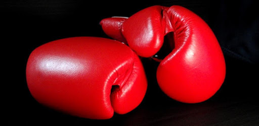 Boxing Video Live Wallpaper PC screenshot