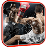 Boxing Video Live Wallpaper for PC