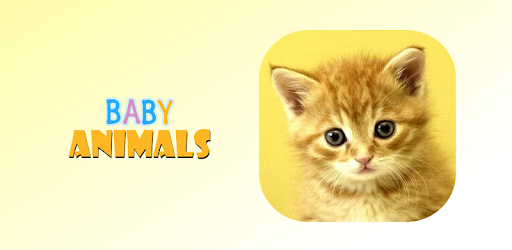 Baby Animals Game PC screenshot