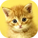 Baby Animals Game icon