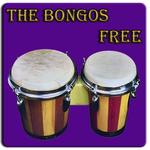 Bongo drum icon
